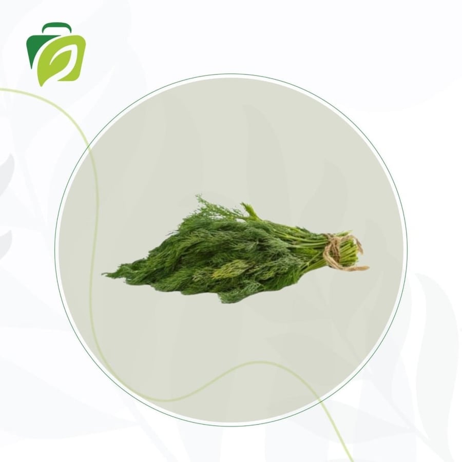 شبت طازج - حبة