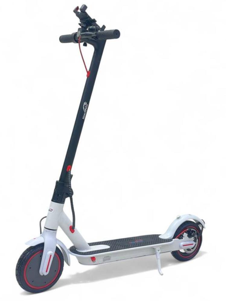 Scooter standing 36v stone tire the new model