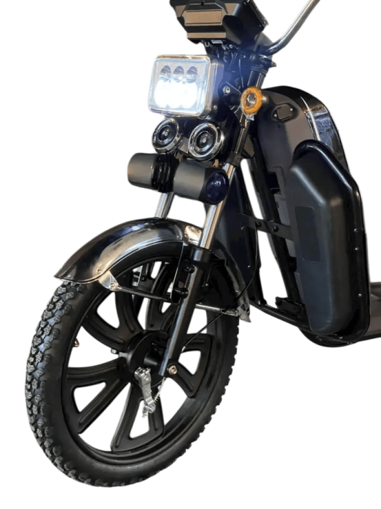 Electric bike similar to x100, desert tires 22