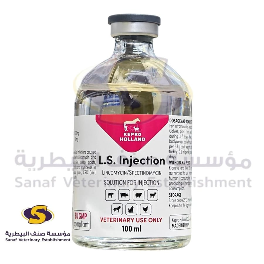 ال اس لينكوسبيكت اوروبي حقن 100 مل