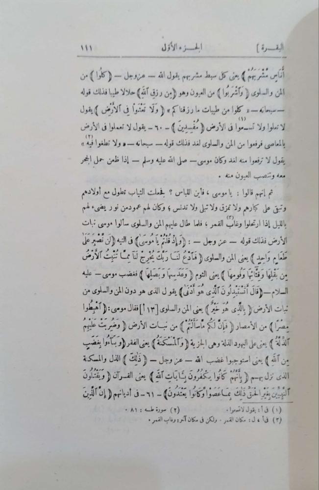 Mujtabil bin Suleiman's interpretation