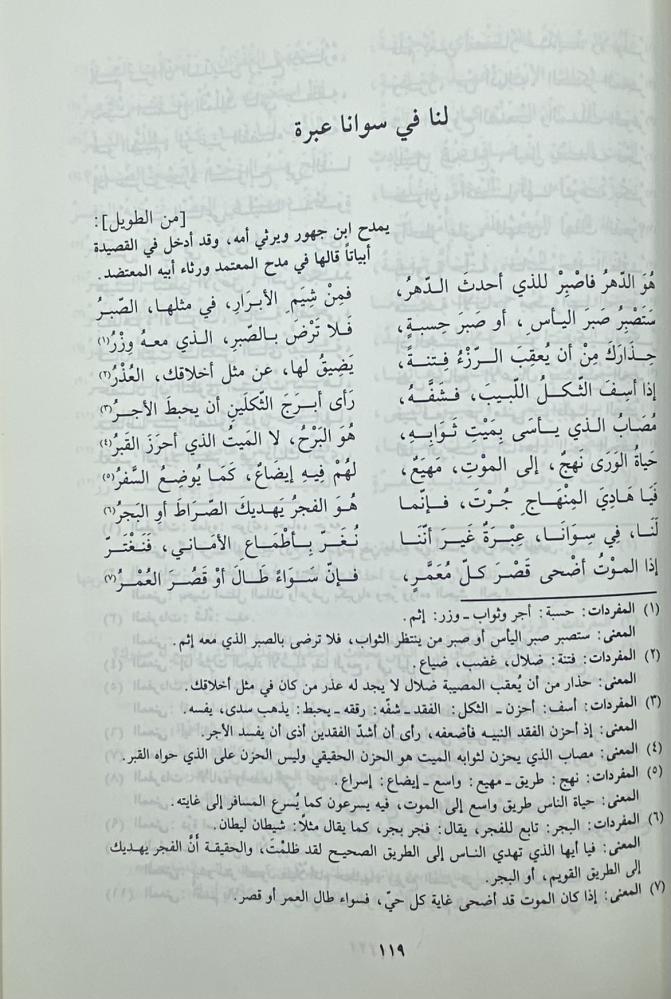 ديوان ابن زيدون