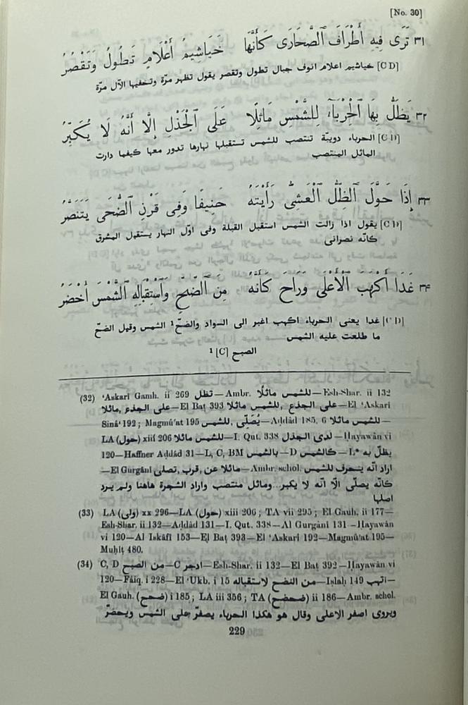 ديوان شعر ذي الرمة غيلان العدوي عالم الكتب