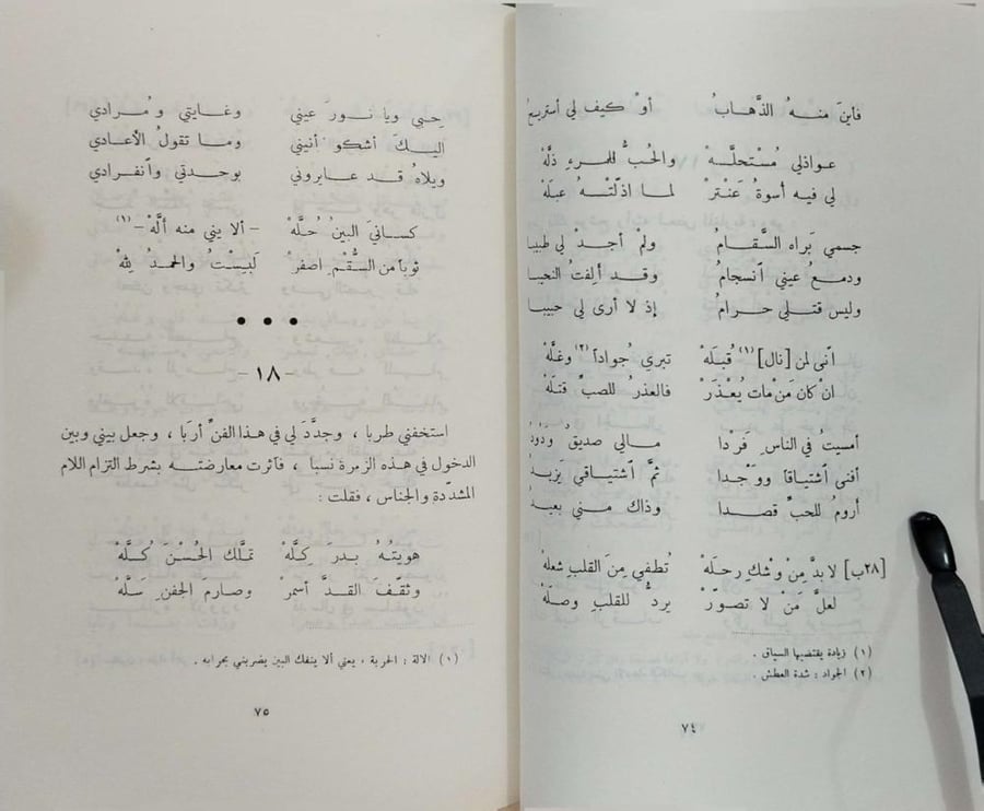 توشيع التوشيح للصفدي