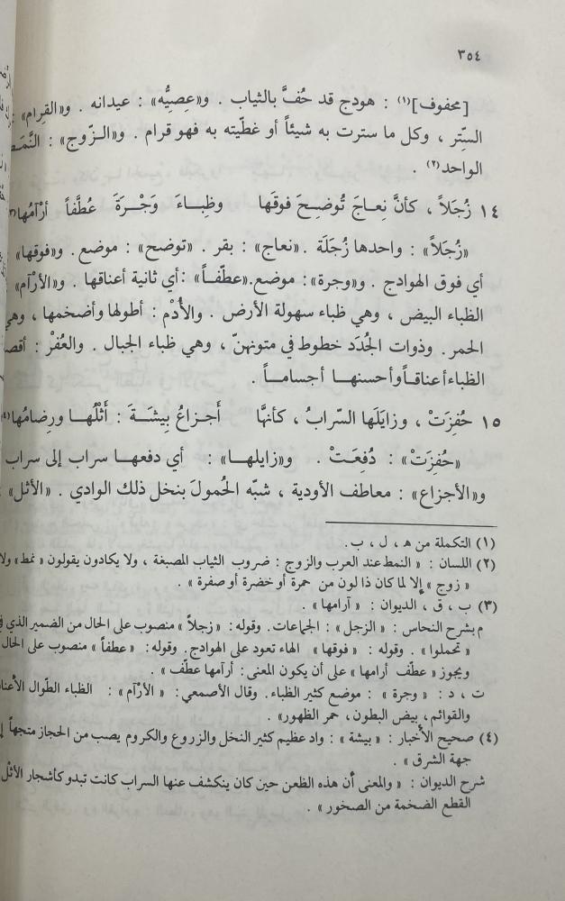 جمهرة أشعار العرب في الجاهلية والإسلام