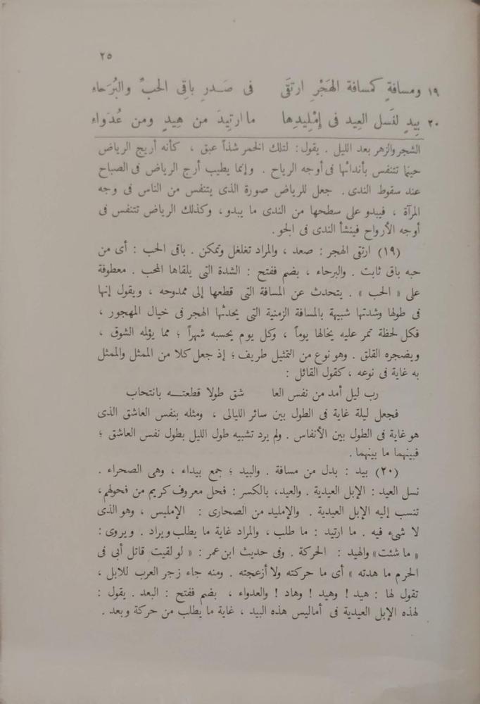 همزيات أبي تمام