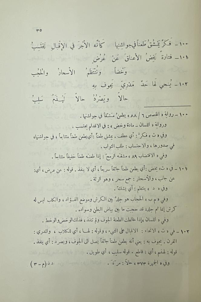 ديوان ذي الرمة