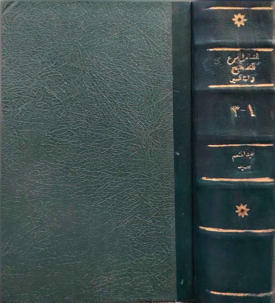 الشامل لجموع التصحيح والتكسير في اللغة العربية