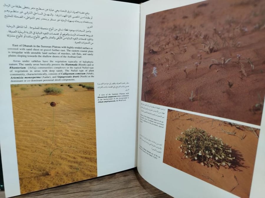مقدمة في التاريخ الطبيعي للمملكة العربية السعودية