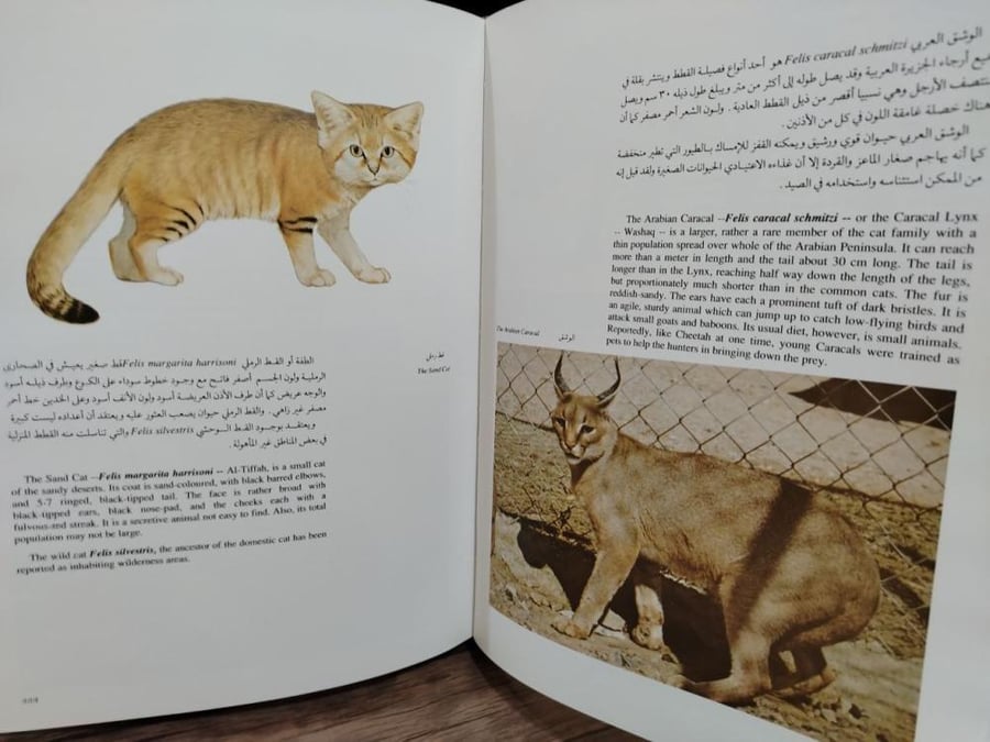 مقدمة في التاريخ الطبيعي للمملكة العربية السعودية