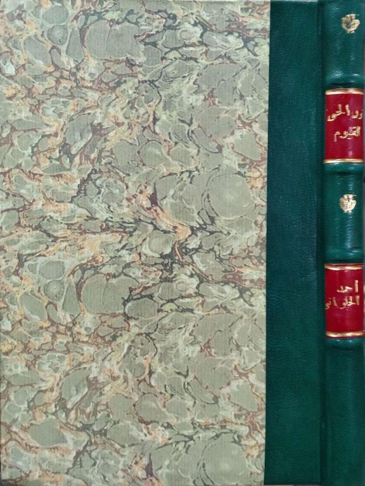 نور الحي القيوم