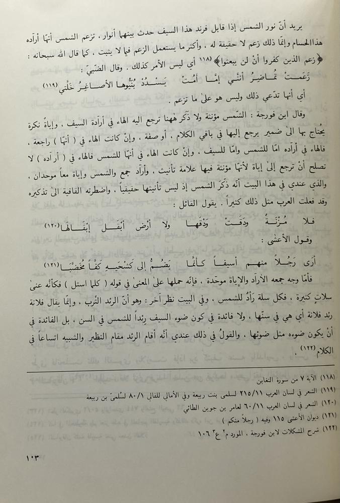 تفسير أبيات المعاني من شعر أبي الطيب المتنبي