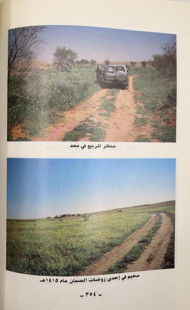 صبا نجد نجد في الشعر والنثر العربي