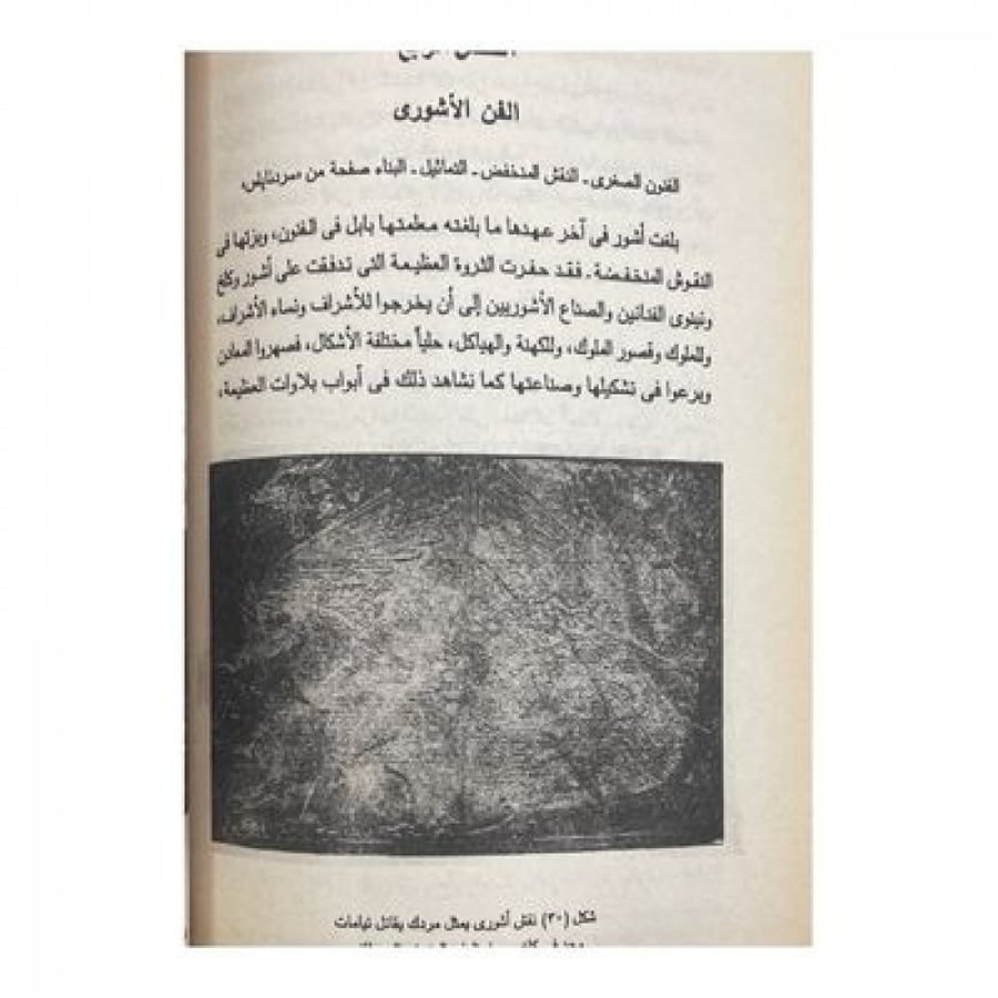 قصة الحضارة