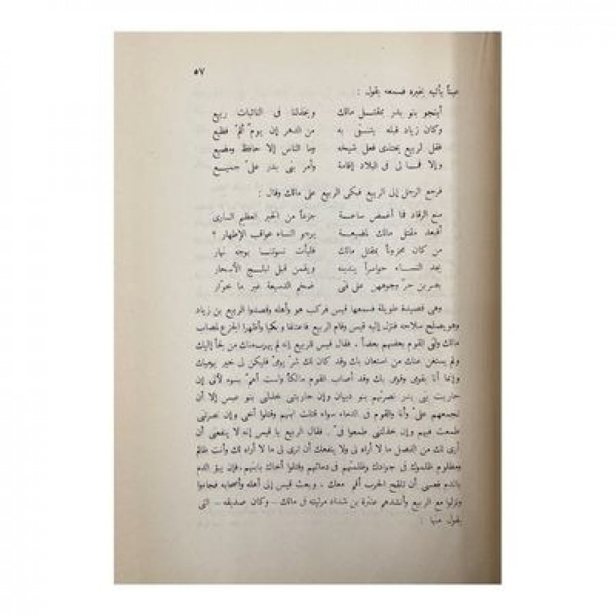 فارس بني عبس