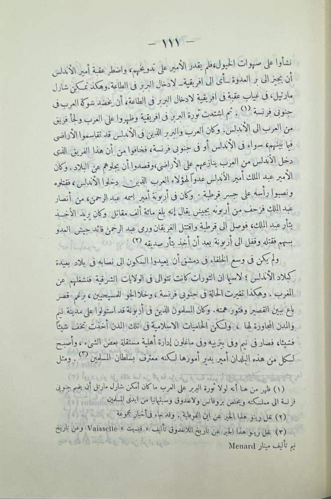 تاريخ غزوات العرب في فرنسا وإيطاليا وجزائر البحر المتوسط