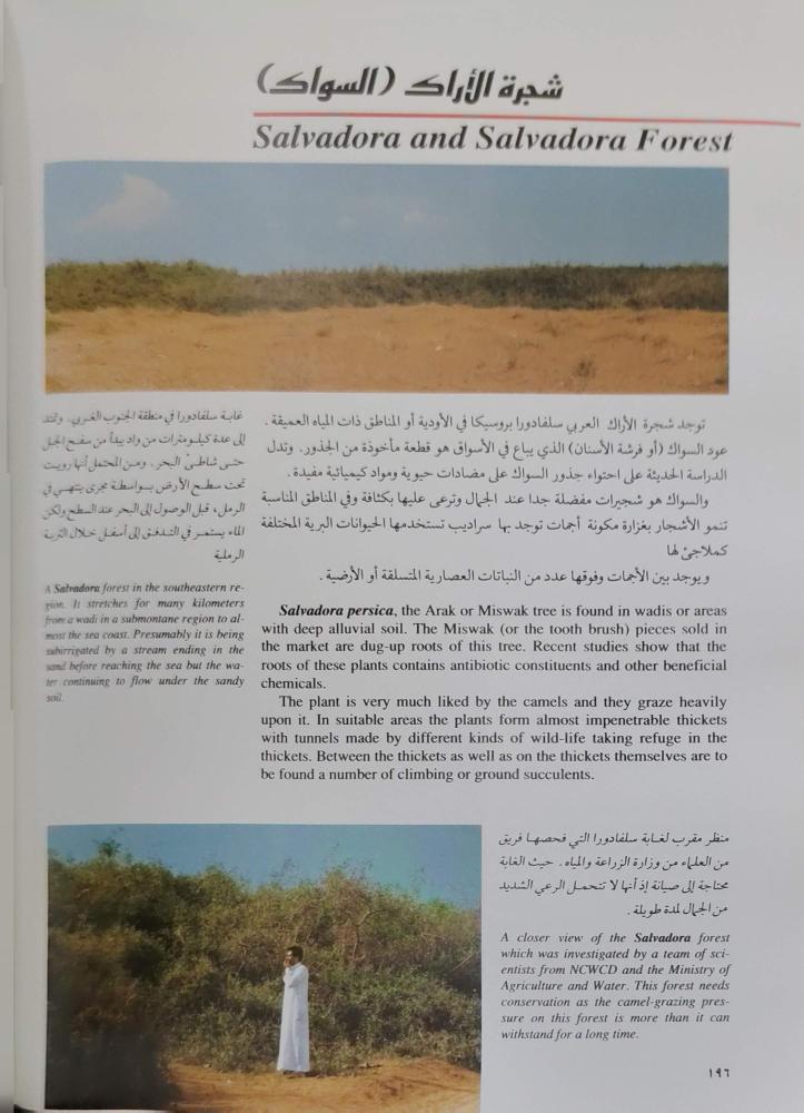 مقدمة في التاريخ الطبيعي للمملكة العربية السعودية