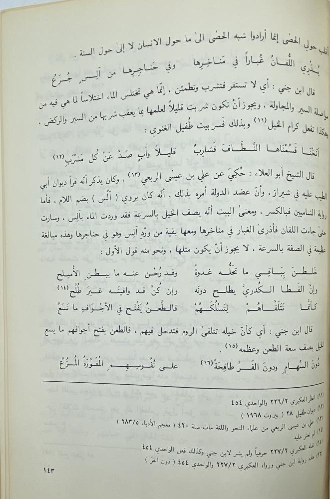تفسير أبيات المعاني من شعر أبي الطيب المتنبي