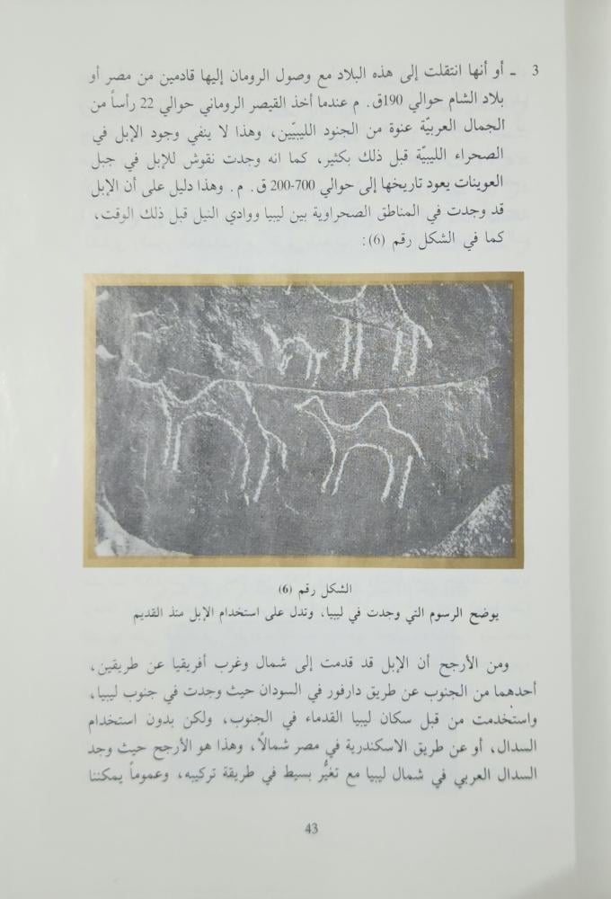 الإبل في الوطن العربي
