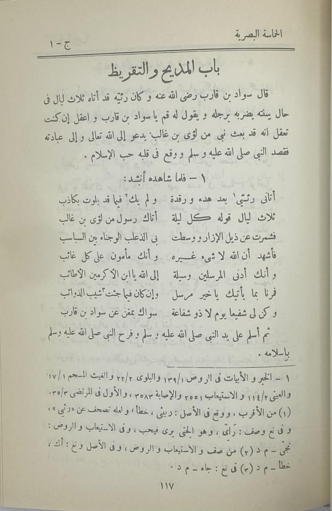 الحماسة البصرية