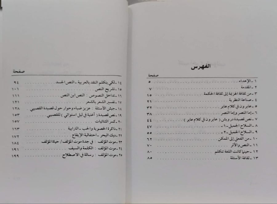 ثقافة الأسئلة  مقالات في النقد والنظرية