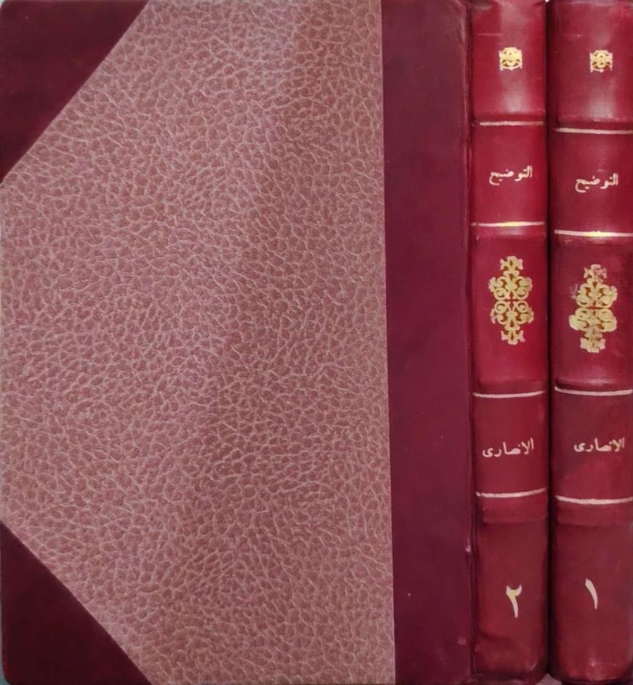 شرح التصريح على التوضيح لألفية ابن مالك في النحو ط عام ١٣٢٥