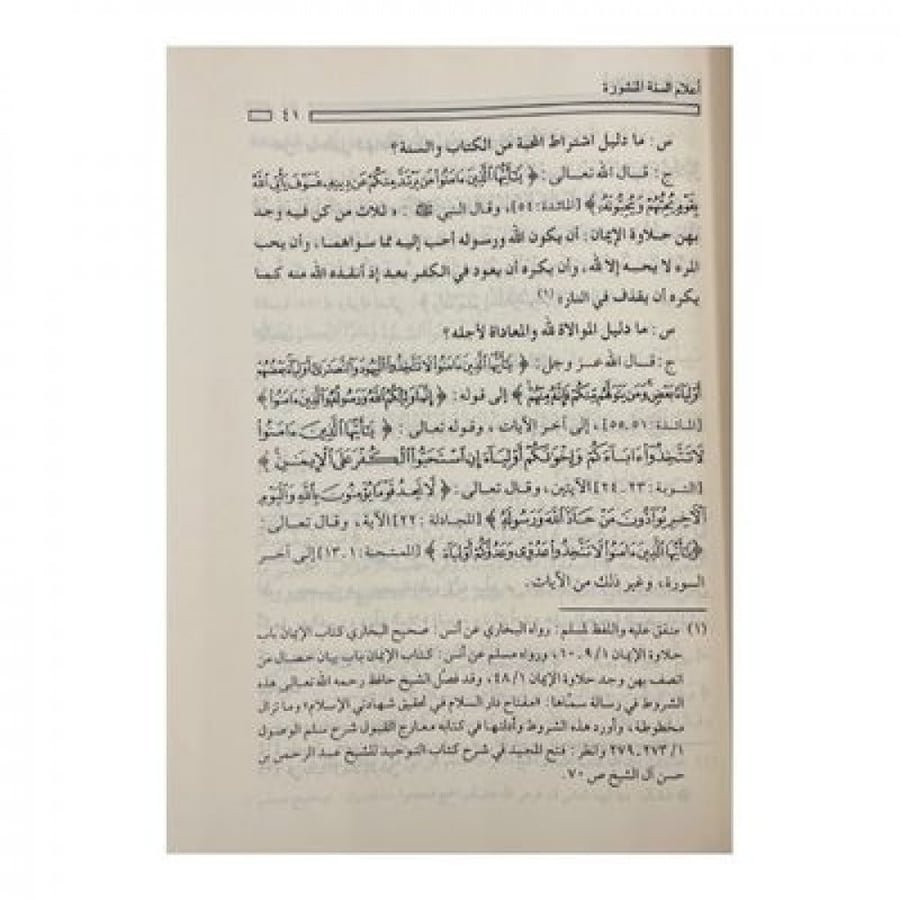 أعلام السنة المنشورة
