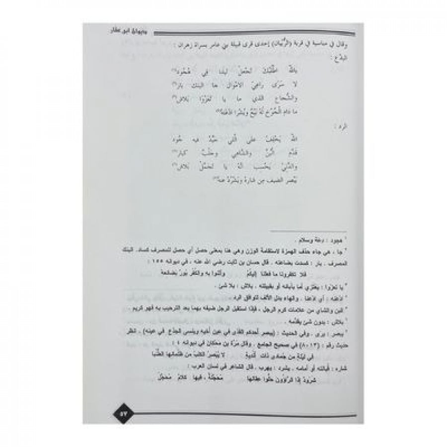 ديوان ابن عقار