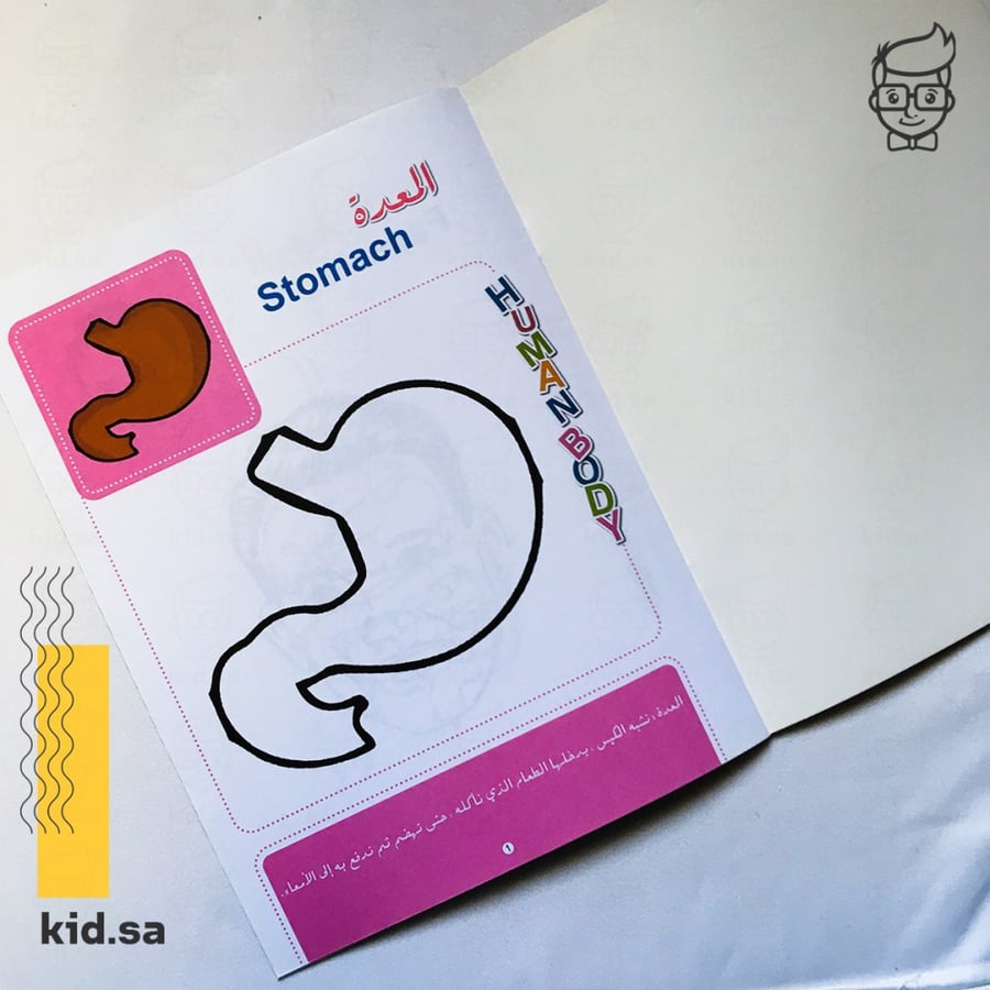 كتاب تعليم جسم الانسان بالتلوين