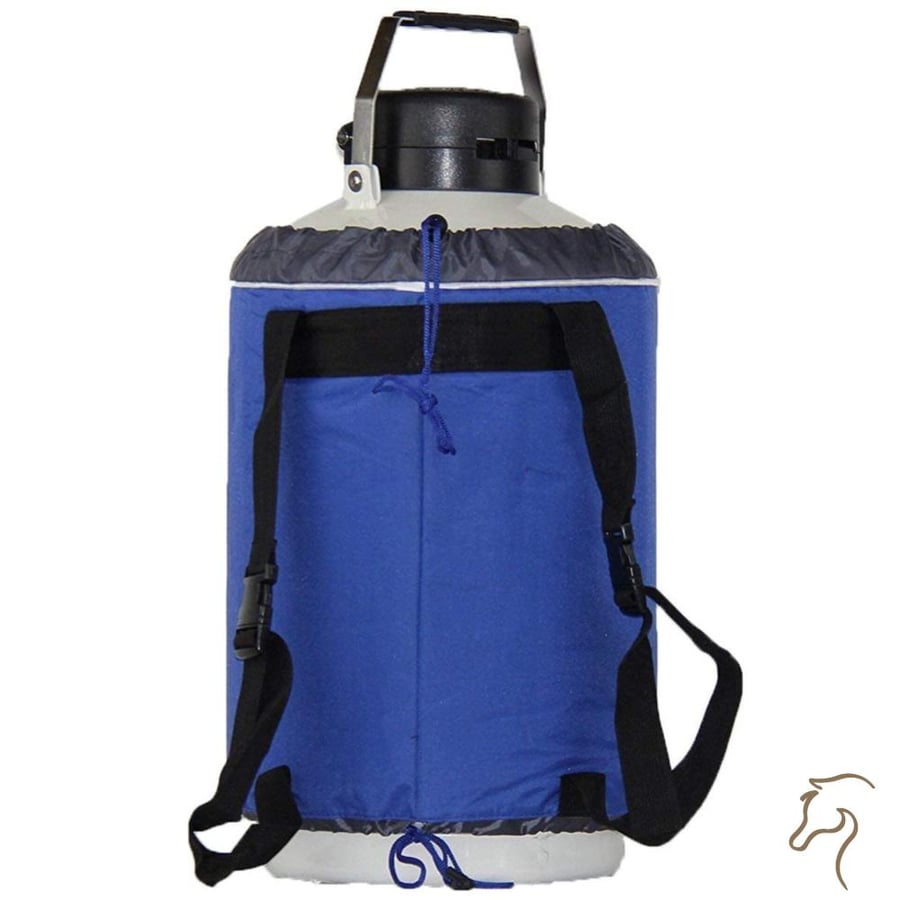 Liquid Nitrogen Tank Container LN2