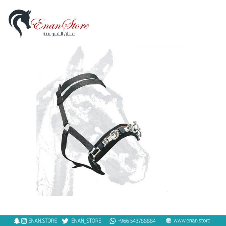 Nylon lunging cavesson