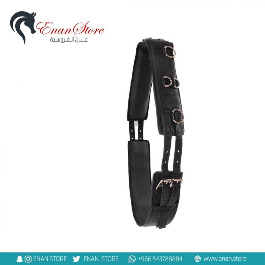 Lunging Surcingle