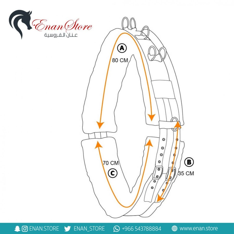 Lunging Surcingle