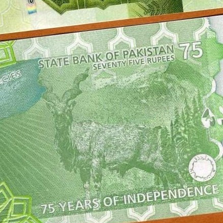 باكستان فئة 75 روبية أنسر