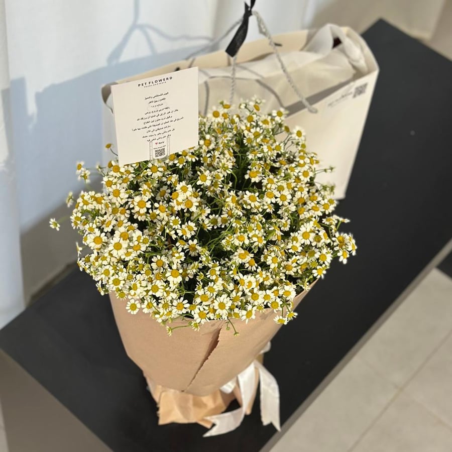باقة الاقحوان