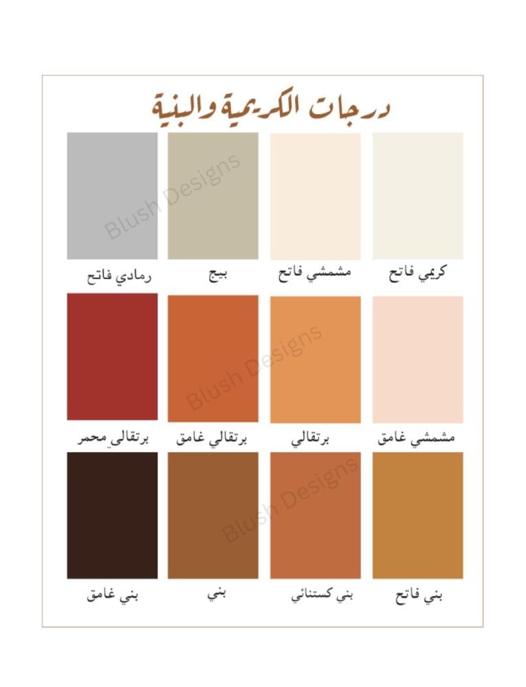 بكج استقبال سلمان