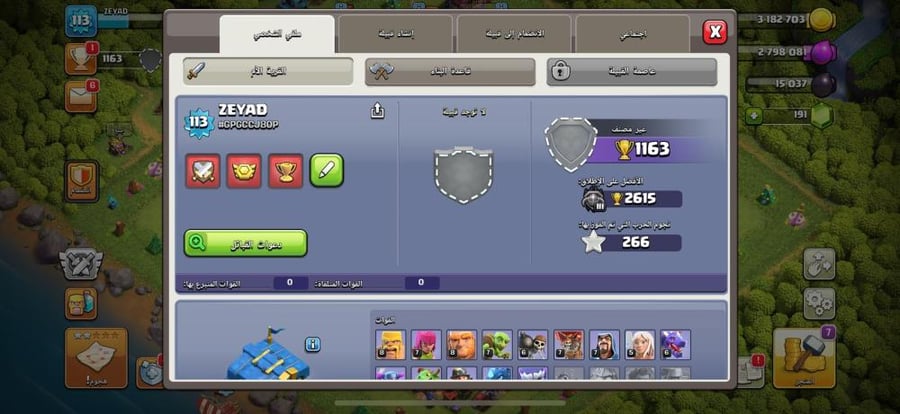 قرية تاون هول 12