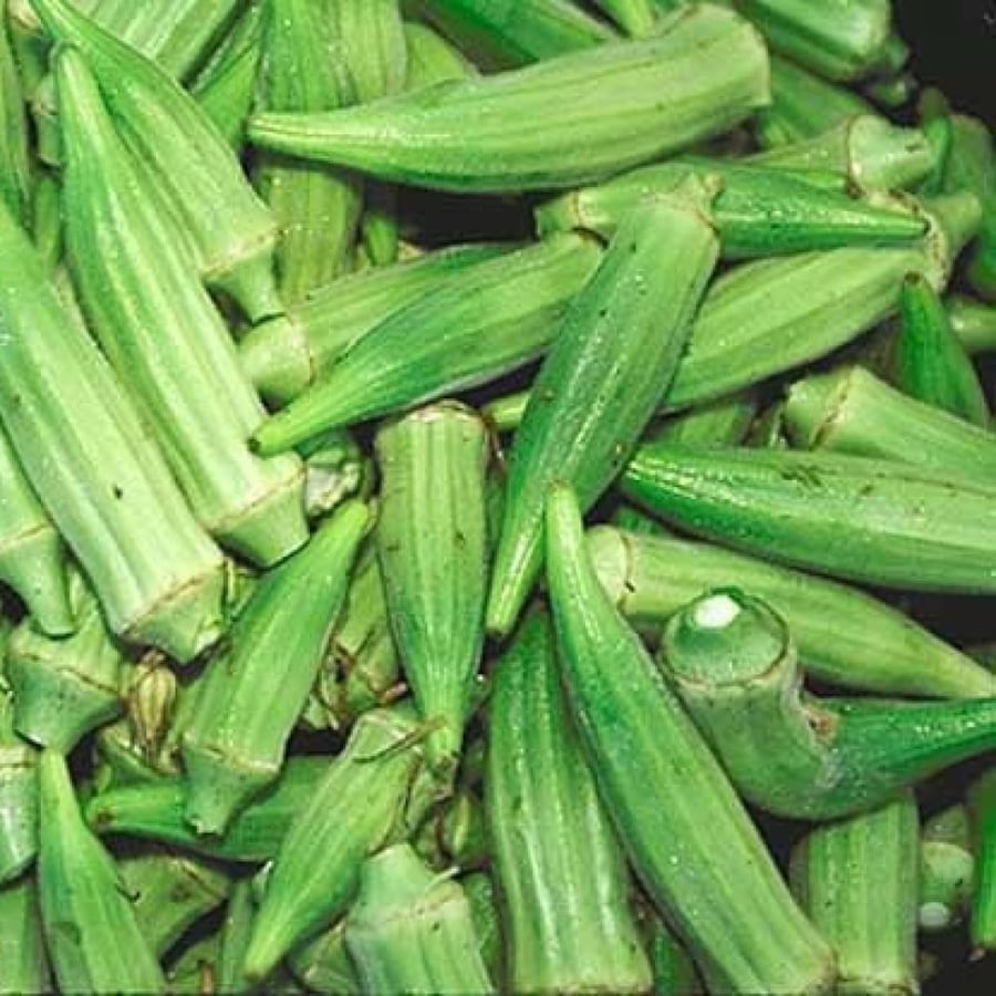 بذور الباميا