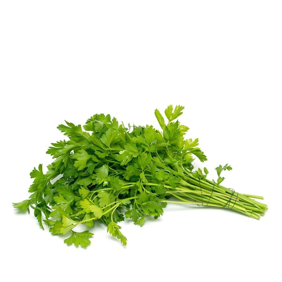 بذور الكزبرة
