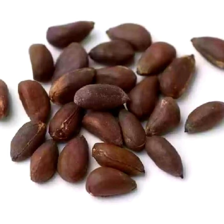 بذور القطن