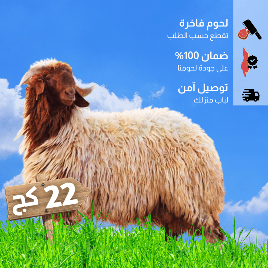خروف نعيمي مذبوح 22 كغ