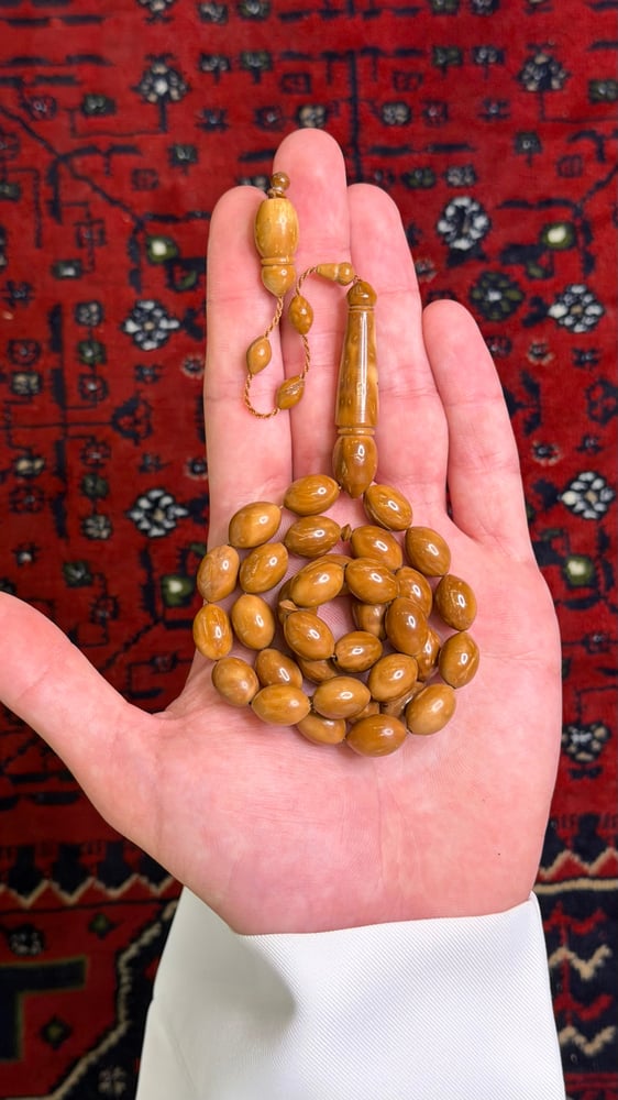 كوك زيتوني سادة