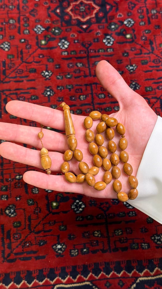 كوك زيتوني سادة