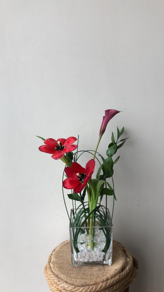 فازة ورد