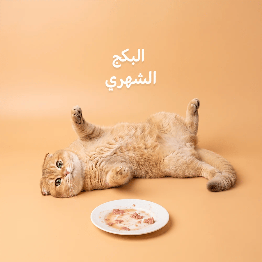البكج الشهري | 81 منتج