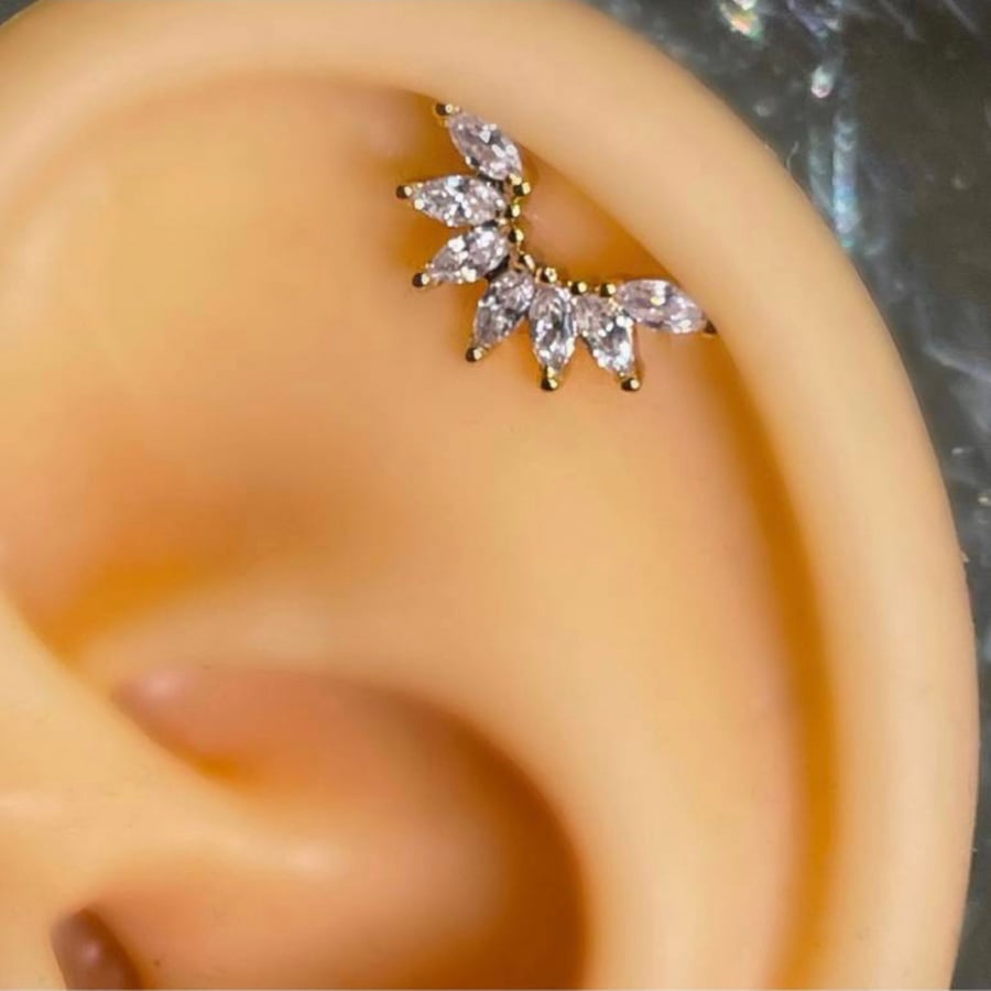 حلق طبي للأذن - Stainless Steel Ear Piercing