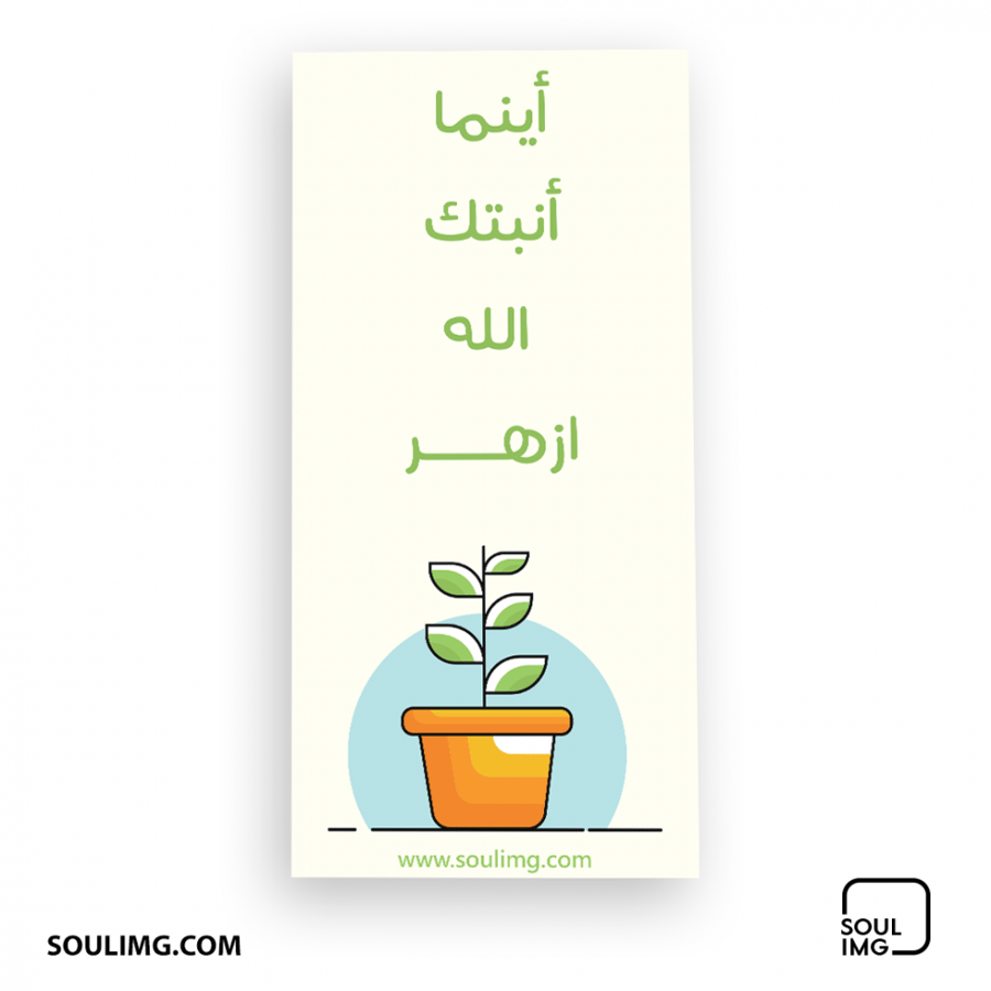 فاصل كتاب اينما انبتك