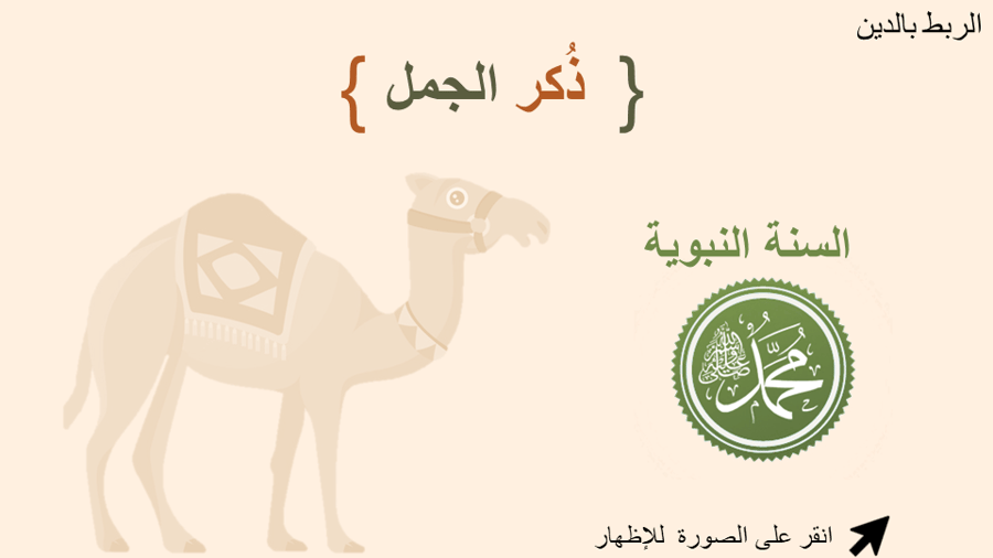 درس  الجمل والسيارة