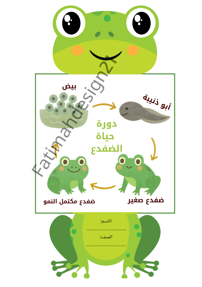 مطوية علوم الصف الثالث دورة حياة الضفدع
