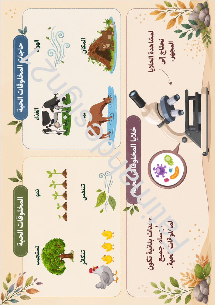 مطوية علوم ثالث ابتدائي المخلوقات الحية وحاجاتها